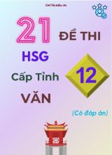 21 Đề thi HSG cấp Tỉnh môn Văn 12 (Có đáp án)